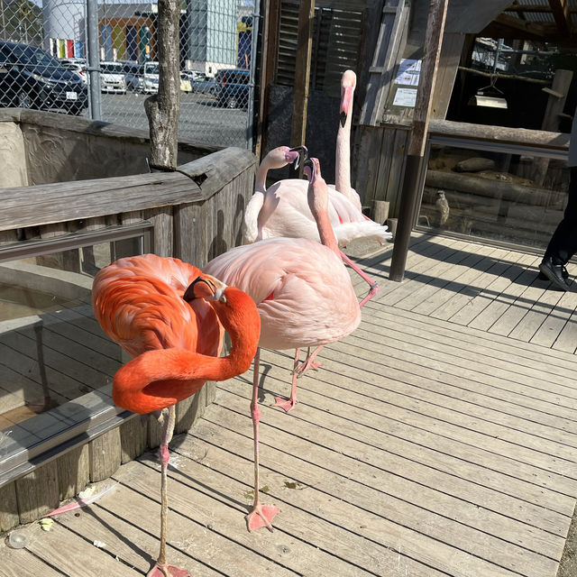 久山ふれあい動物園
