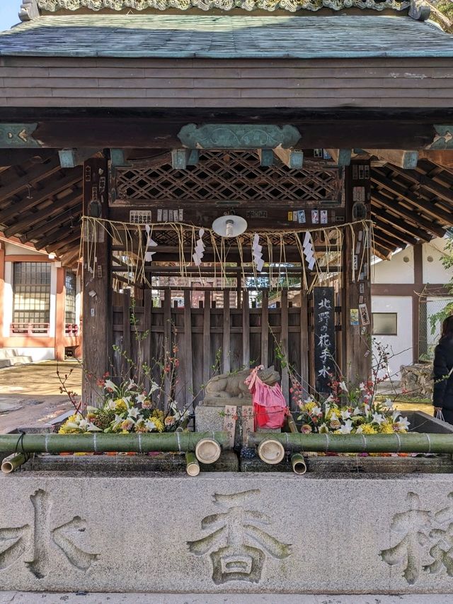 北野天満宮【北野の花手水】撫で牛の両脇の生花が華やかで綺麗