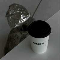 Space 13