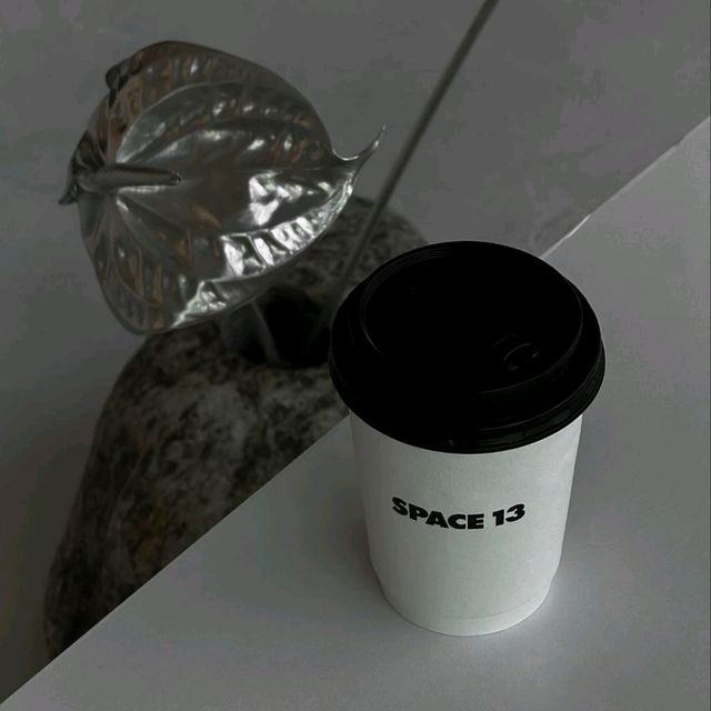 Space 13