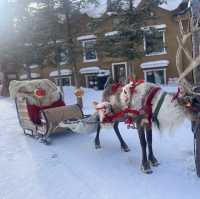 Discovering Harbin's Winter Magic