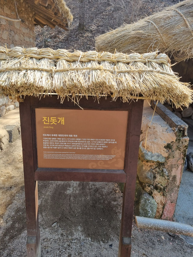 즐길거리 다양한 국내여행지