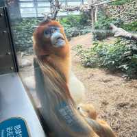 香港海洋公園是旅遊必定要去地方