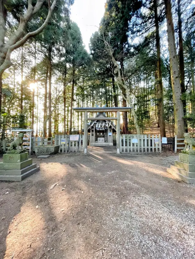 【秩父】都内からの日帰り一人旅にも◎パワースポット寳登山神社⛩