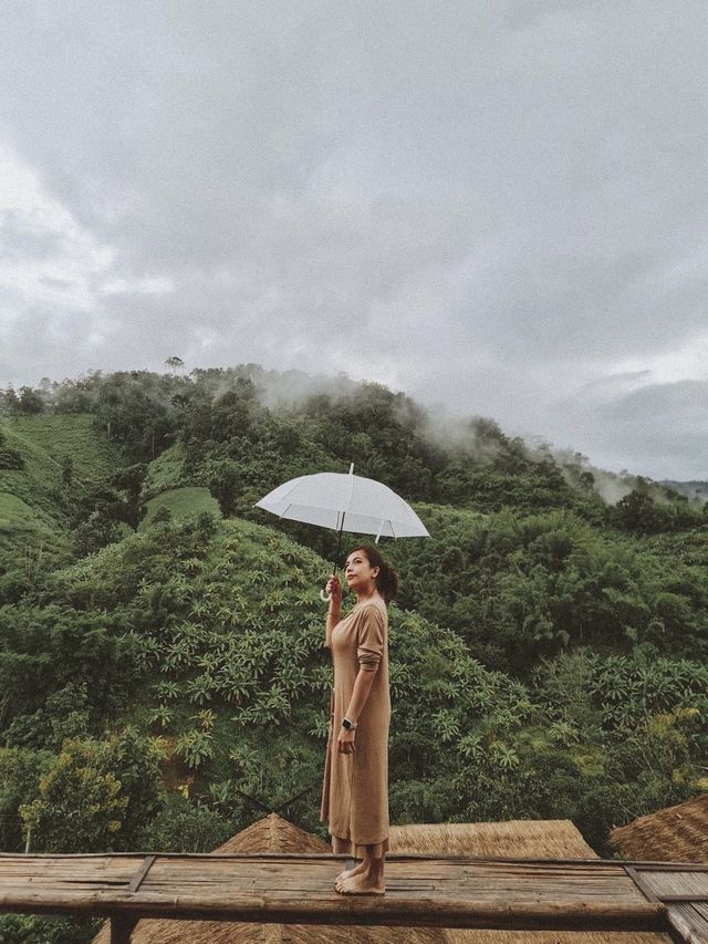 โฮมสเตย์กลางป่า วิวดี YAZAMA 🍃