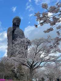  UshikuDaibutsu หลวงพ่อโตปางยืนสูงที่สุดในญี่ปุ่น