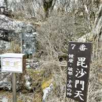 【別府】鶴見岳にある別府ロープウェイからの桜