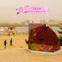 Yeouido Hangang Park in South Korea
