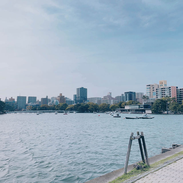 🌸ชมซากุระเดินเล่นยามเย็นที่สวนโอโฮริ