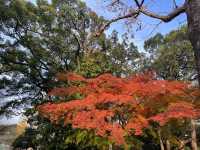 日比谷公園　@日比谷🍂