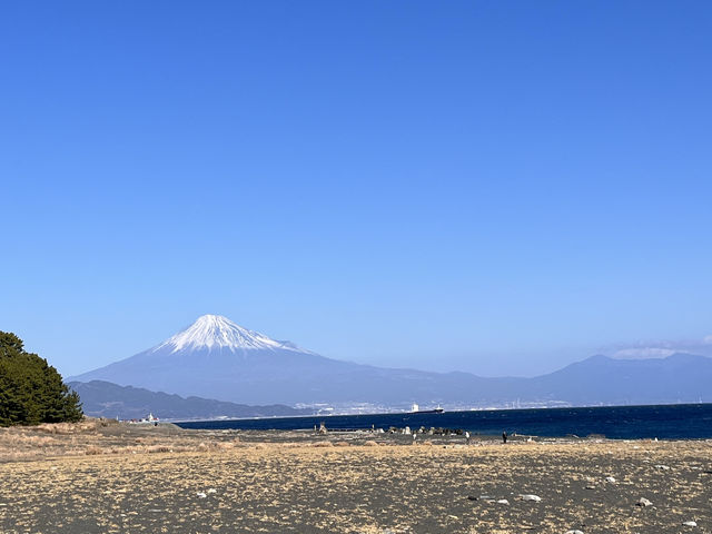 天女伝説で有名な三保の松原🌲🗻🧚🏻‍♀️