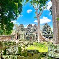 🥰 Witness the Breathtaking Sunrise at Angkor Wat! ✨