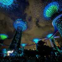 Garden by the bay 