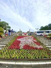 【沖繩海洋博公園】🌳讓遊客瞬間進入綠色世界🌿