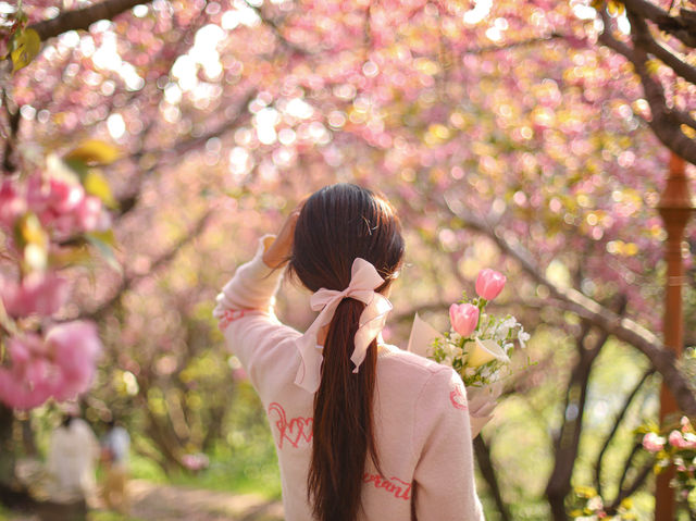 부산 겹벚꽃 제일 예쁜 민주공원🌸