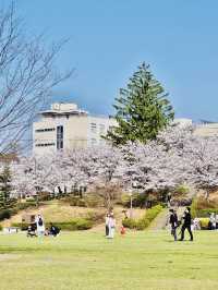 Jōyama Park 