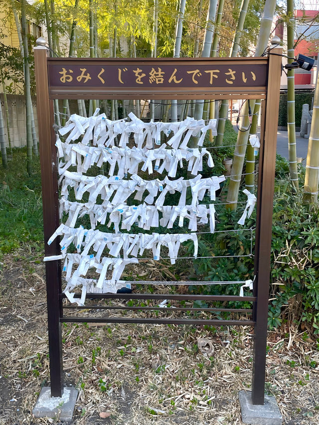 【上宮大澤神社/東京都】美しい竹林が見られる