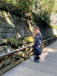 【弾丸旅行】GWも忙しい人必見🥺🌿🤍日帰りで行ける横須賀満喫プラン🚢🪼🫧【日帰り】
