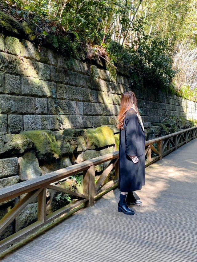【弾丸旅行】GWも忙しい人必見🥺🌿🤍日帰りで行ける横須賀満喫プラン🚢🪼🫧【日帰り】