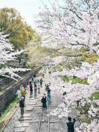 【京都】蹴上〜南禅寺エリアを桜散歩