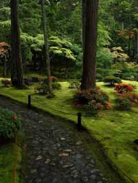 綠色秘境：西芳寺，苔之詩篇