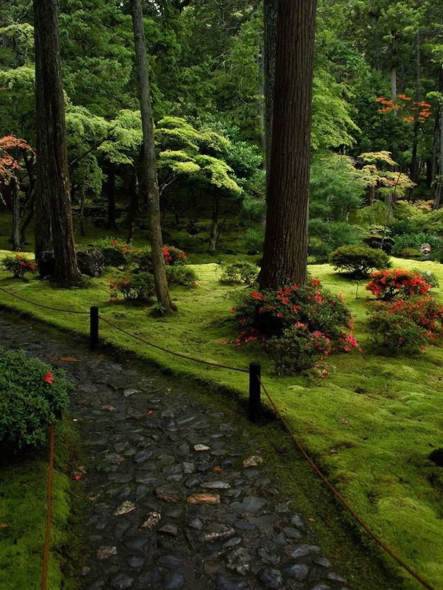綠色秘境：西芳寺，苔之詩篇