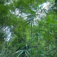 役政公園～綠洲中的湖光山色～寧靜放鬆