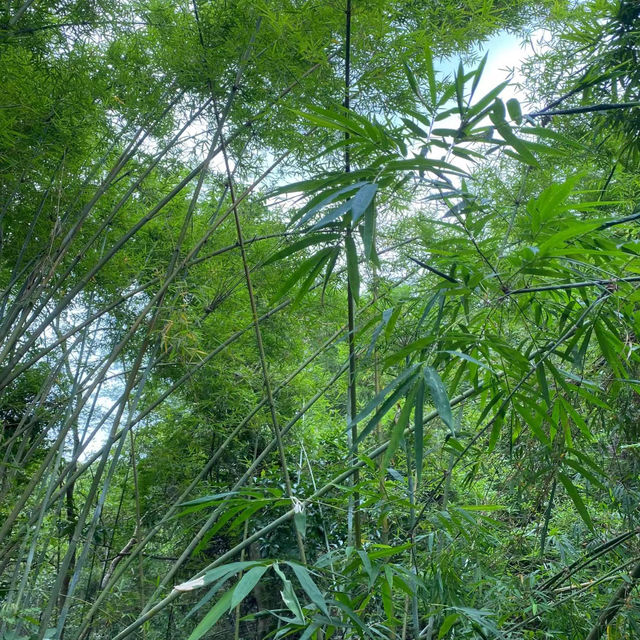 役政公園～綠洲中的湖光山色～寧靜放鬆
