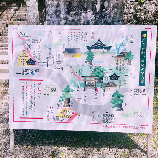 【長野県/ 戸隠の三本杉に囲まれた神秘的な戸隠中社⛩️】