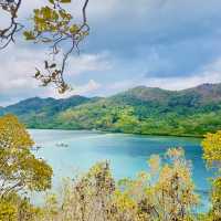 Discovering the Wild Beauty of Snake Island 🏝️ 