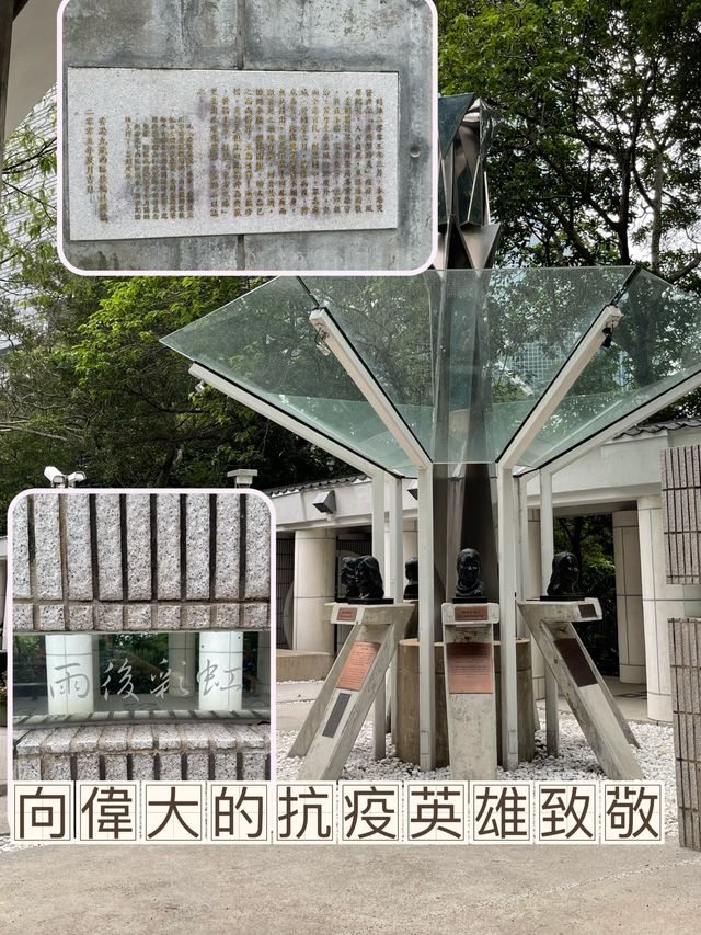 🌟 香港公園之美：太極園與360度鳥瞰角探秘 🏞