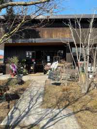 【福岡】ドライフラワー専門店