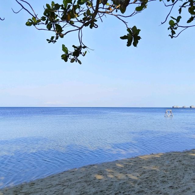 BEST SUMMER FAMILY OUTING NEAR MANILA!