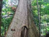 เที่ยววัดเขาบรรจบ เดินผ่านประตูสวรรค์