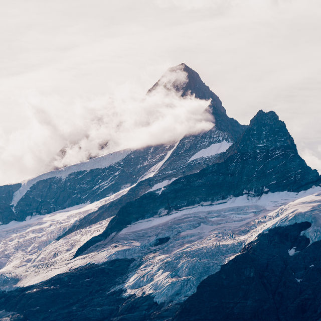 🇨🇭Grindelwald-FIRST(Summer)