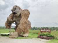 เที่ยว “ห้วยตึงเฒ่า” บรรยากาศฤดูฝน 