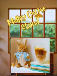 💥 Molley Coffee Stand เสน่ห์ที่น่าค้นหา