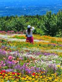 【大分/天国の花畑】天空に見たこともない美しい場所があった！！