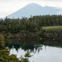皿倉山～壯麗山景～此生難忘