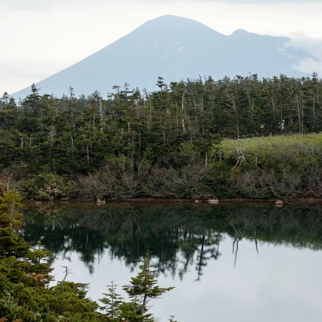 皿倉山～壯麗山景～此生難忘