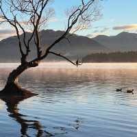 NZ South Island of nature and adventure