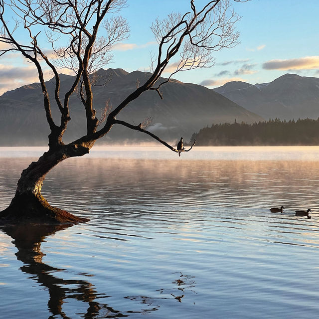 NZ South Island of nature and adventure