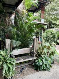 ในคลองคาเฟ่ จังหวัดอยุธยา