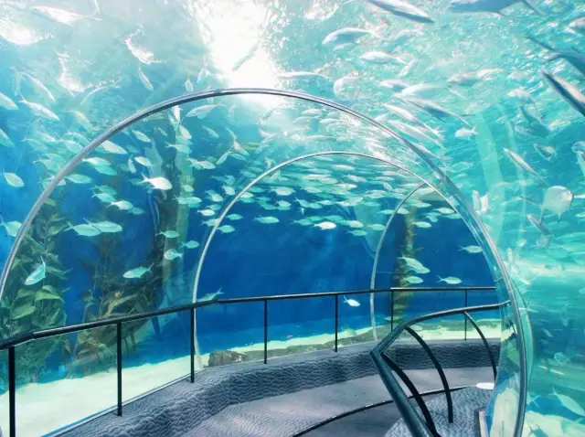 造訪上海海洋水族館