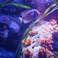 Sea Life  Bangkok
