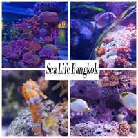 Sea Life  Bangkok