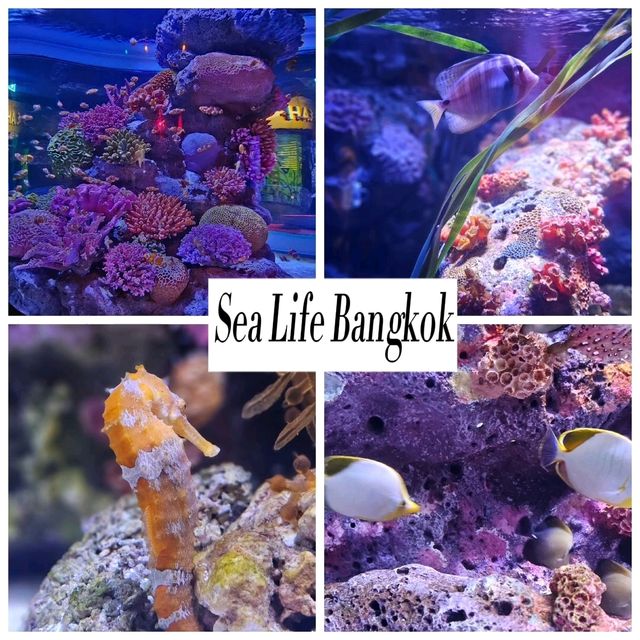 Sea Life  Bangkok