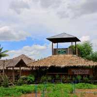 Wood House Cafe คาเฟ่ธรรมชาติ วิวเขาฉกรรจ์