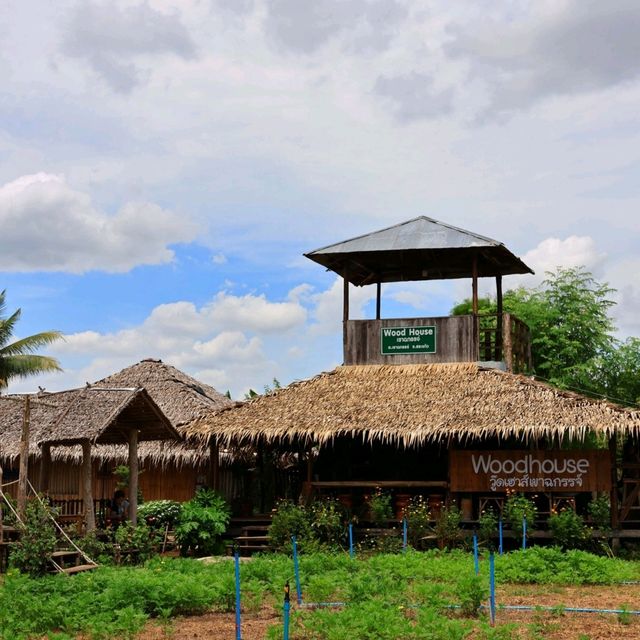 Wood House Cafe คาเฟ่ธรรมชาติ วิวเขาฉกรรจ์