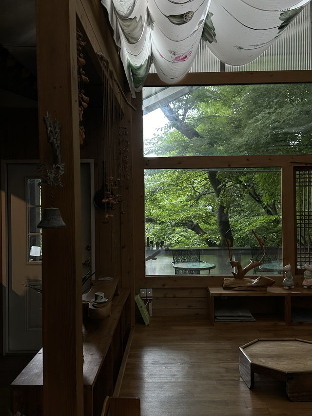 피톤치드 가득한 나무가 우거진 여름 숲 🌳한가운데 마음 공부, 사색할 수 있는 여름 여행지 추천 🍵